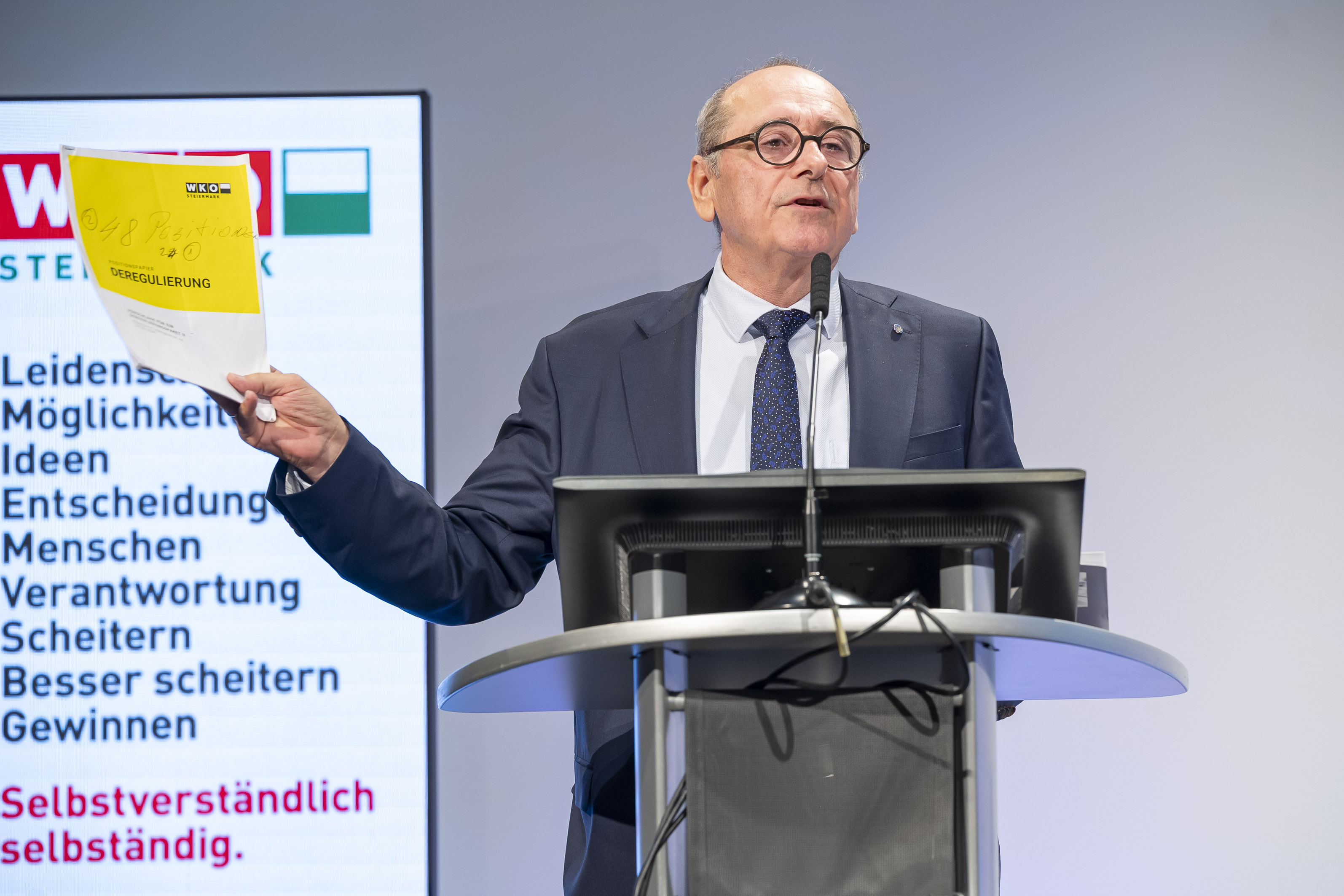 Manfred Kainz, Wirtschaftsparlament
