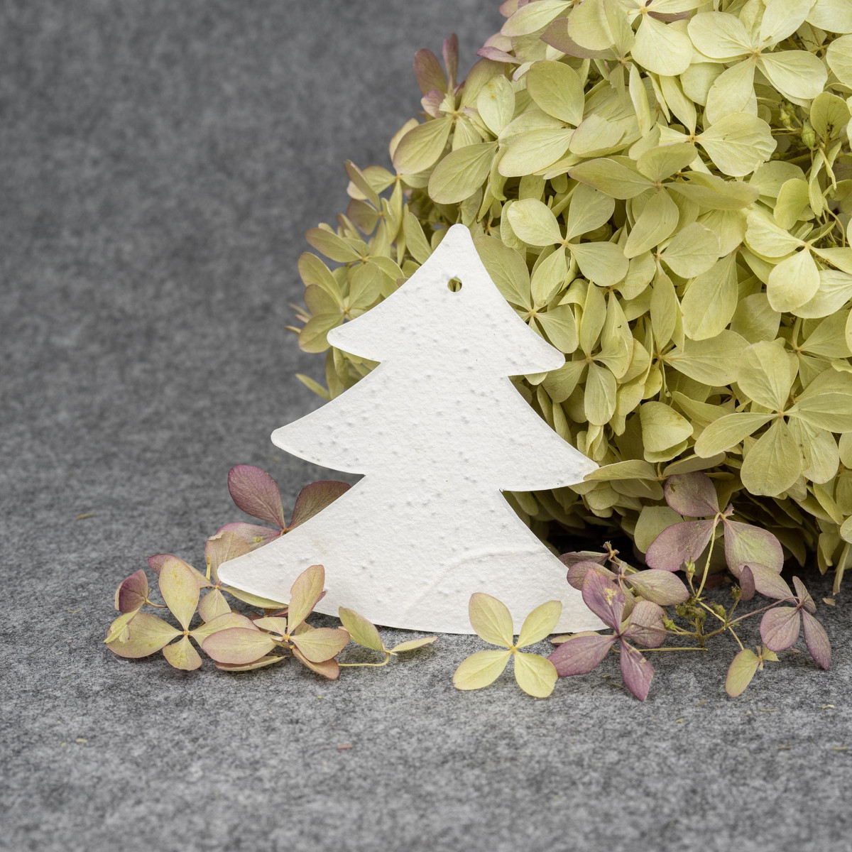 Papieranh&auml;nger von Seedpap