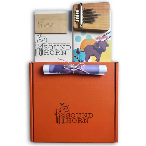 Geschenkbox Soundhorn