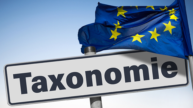 Schild mit Schriftzug Taxonomie, dar&uuml;ber EU-Flagge wehend