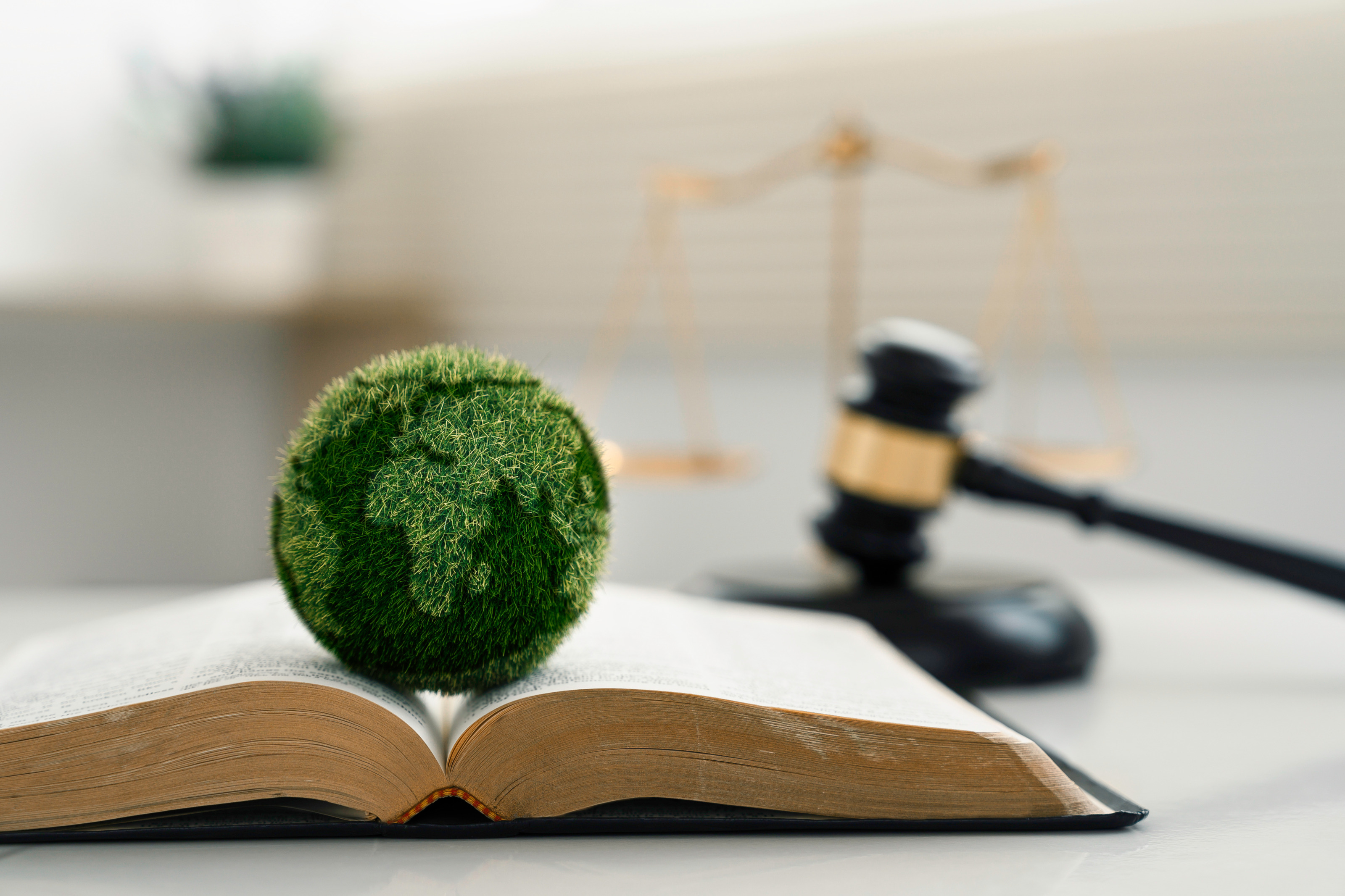 Begraste Weltkugel liegt auf aufgeschlagenem Buch, im Hintergrund verschwommen Richterhammer und goldene Waage