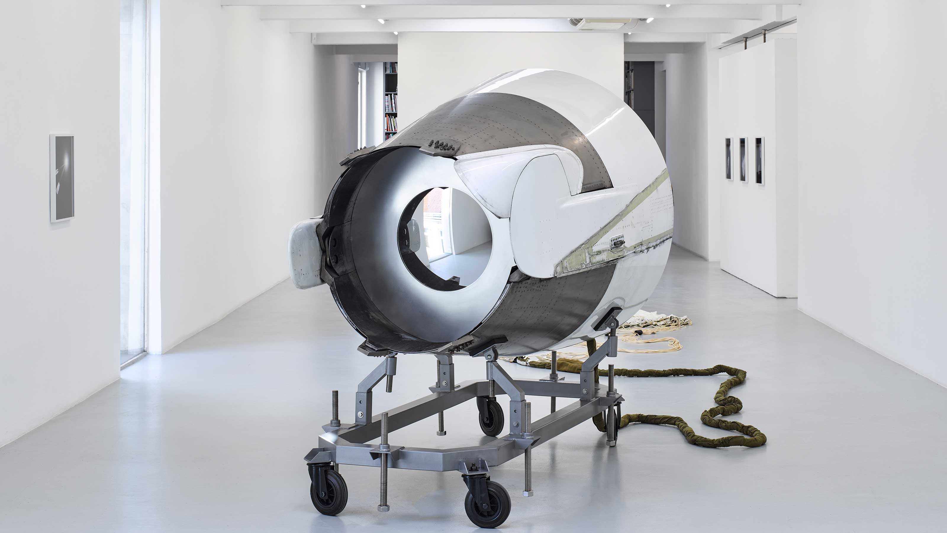 Mona Schulzek Bird sing at a higher pitch