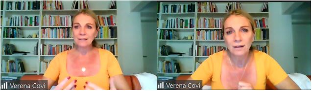 Screenshot vom Webinar