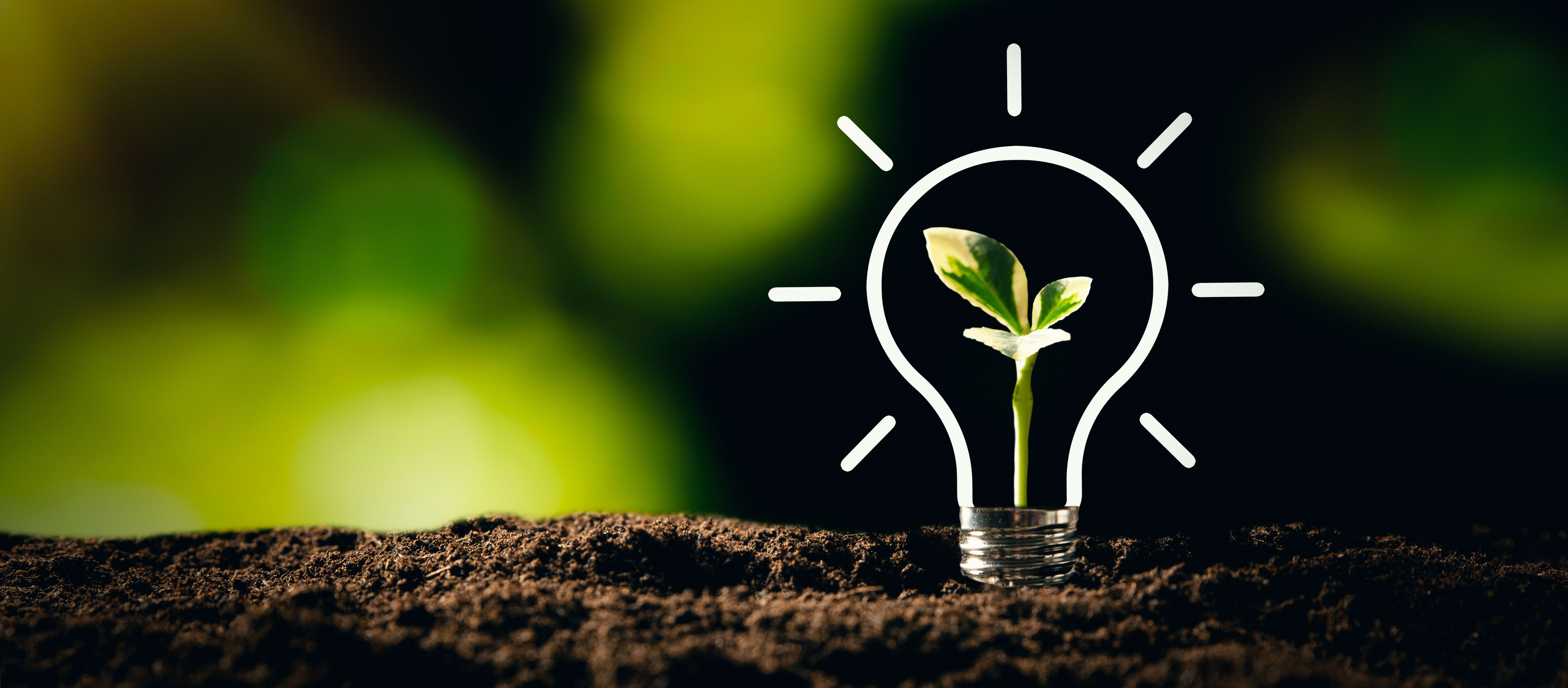 Gezeichnete Glühbirne im Grünen