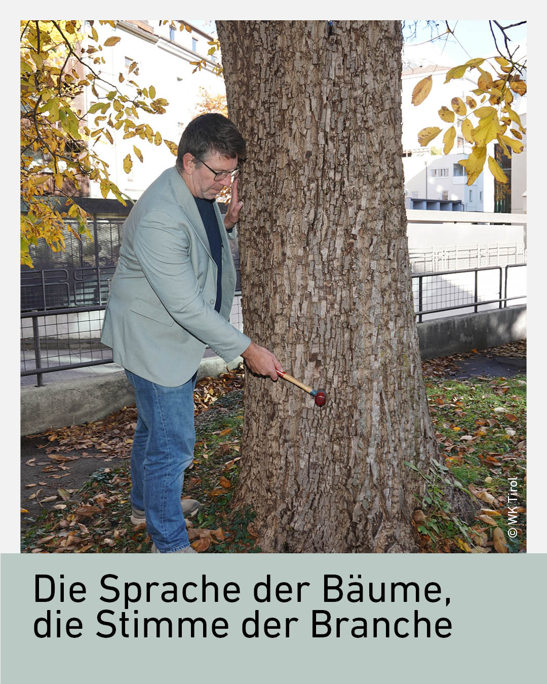 Alexander Spechtenhauser klopft den Stamm eines Baumes vorsichtig ab