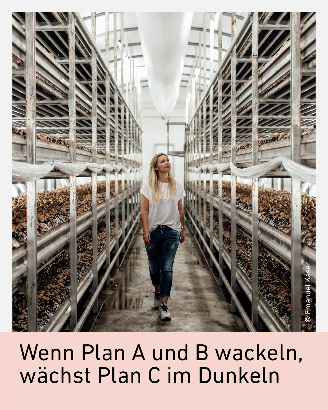 Cornelia Plank in der Pilzproduktion von Plan C in Thaur zwischen Regalen mit Frischpilzen. Der Tiroler Betrieb produziert regionale Bio-Pilze.