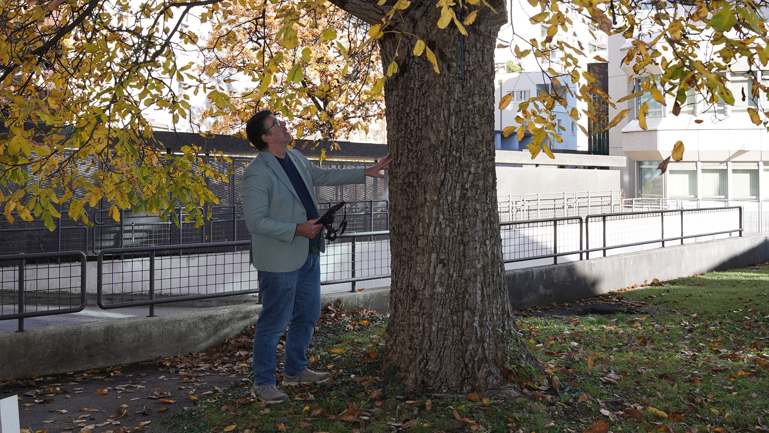 Alexander Spechtenhauser steht bei einem Walnussbaum, berührt mit einer Hand den Stamm und schaut hinauf in die Baumkrone.