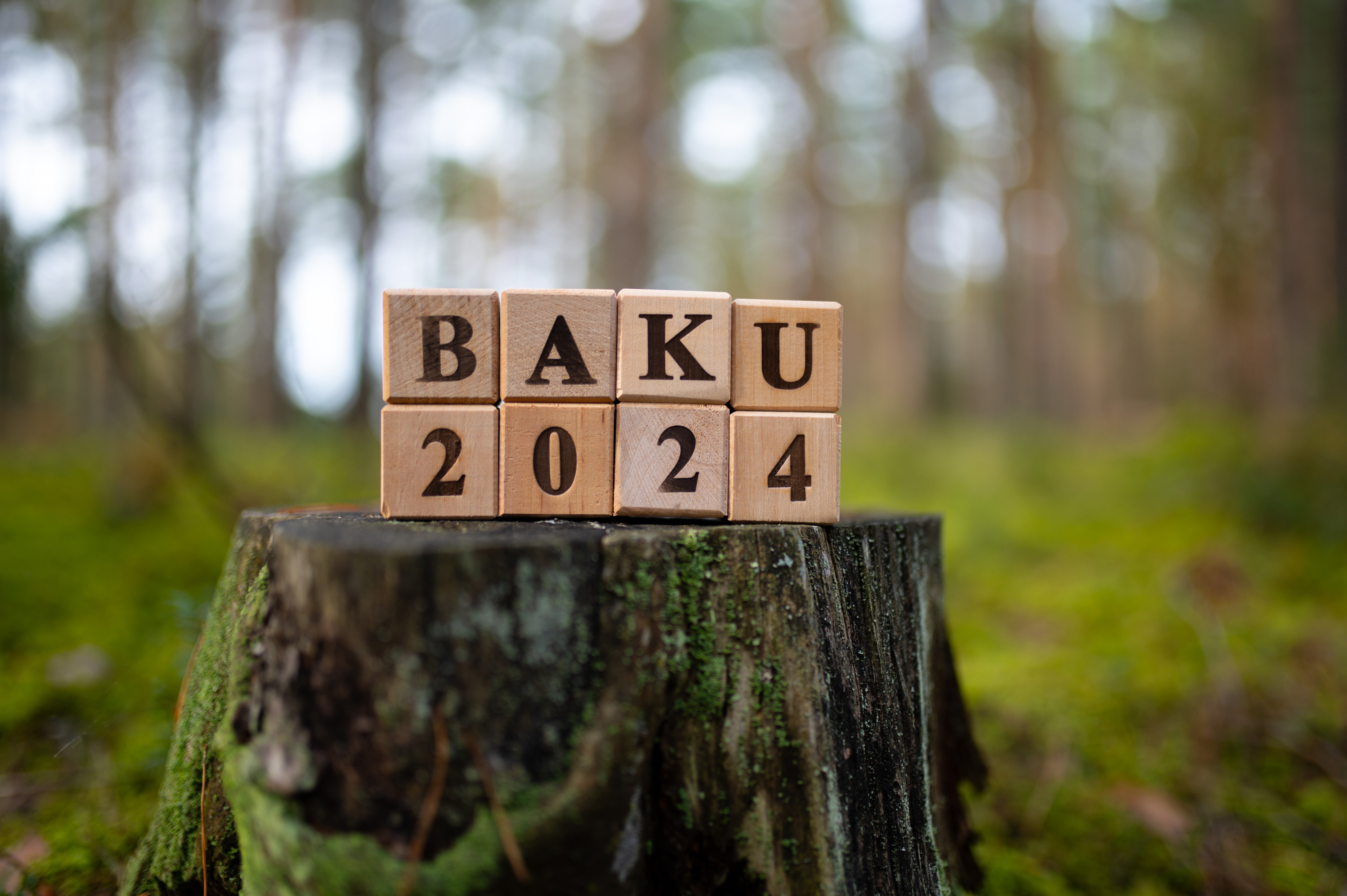 Auf einem Baumstumpf aufeinandergestapelte Holzw&uuml;rfel, die den Schriftzug Baku 2024 ergeben