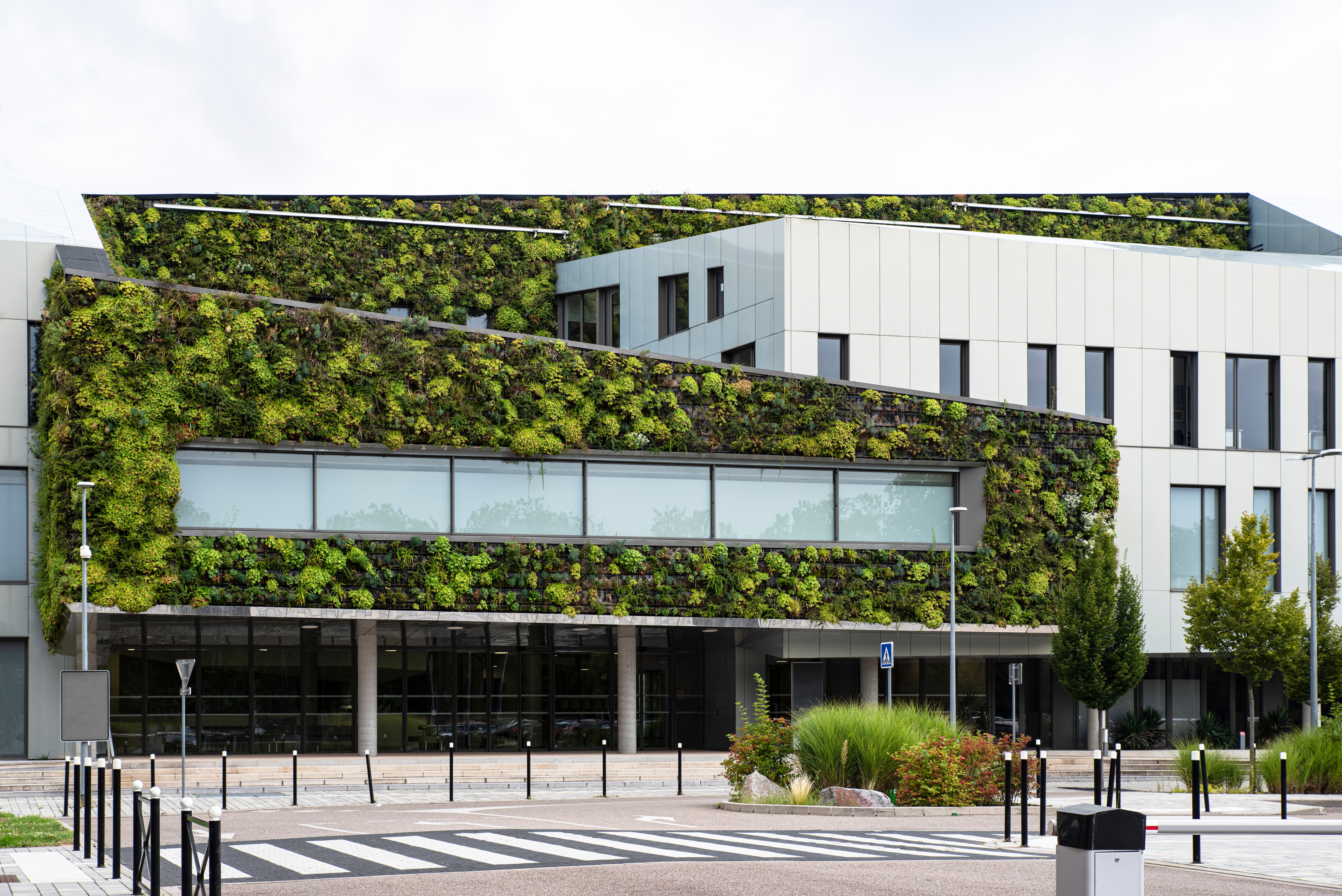 Modernes Geb&auml;ude mit gro&szlig;en Glasfronten und &uuml;ppiger Fassadenbegr&uuml;nung