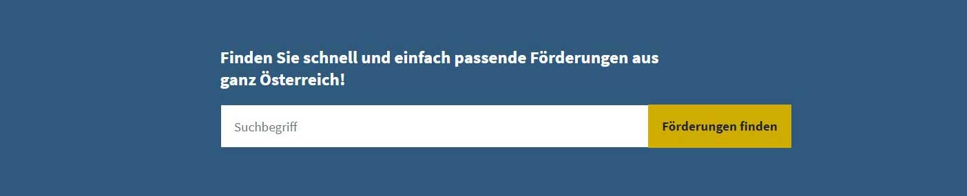 Ansicht der Benutzeroberfl&auml;che der Suche nach F&ouml;rderungen auf dem Tranzparenzportal