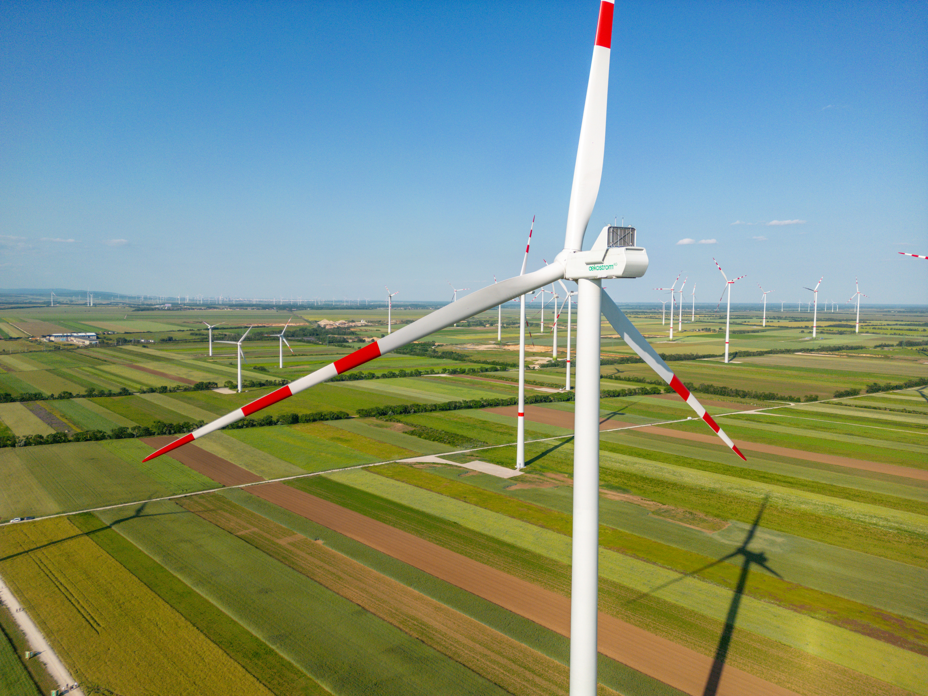 Fokus auf Windrad mit rotwei&szlig;roten Spitzen auf Feld mit weiteren Windr&auml;ndern stehend unter blauem Himmel