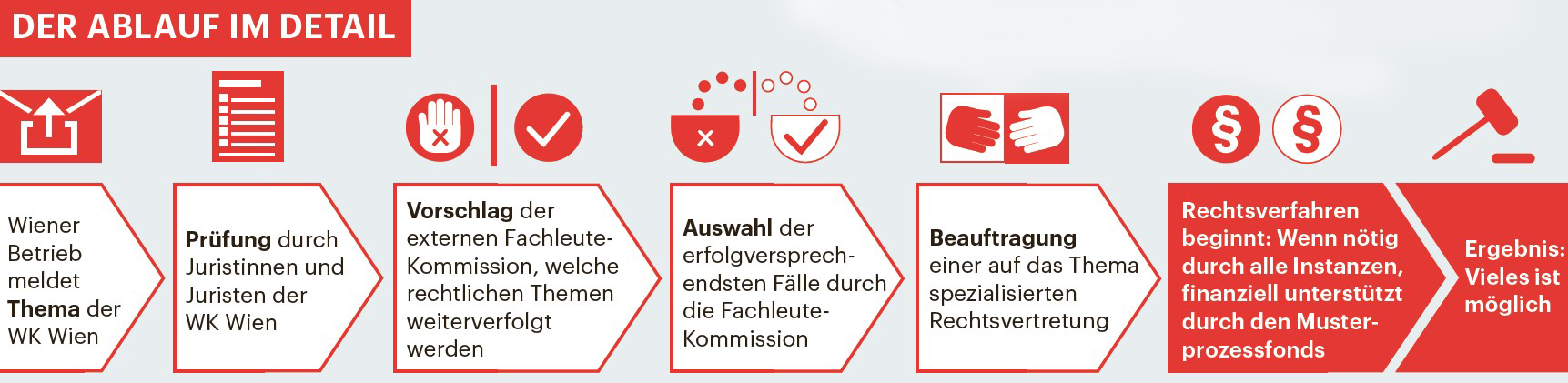 Ablauf Musterprozessf&ouml;rderung