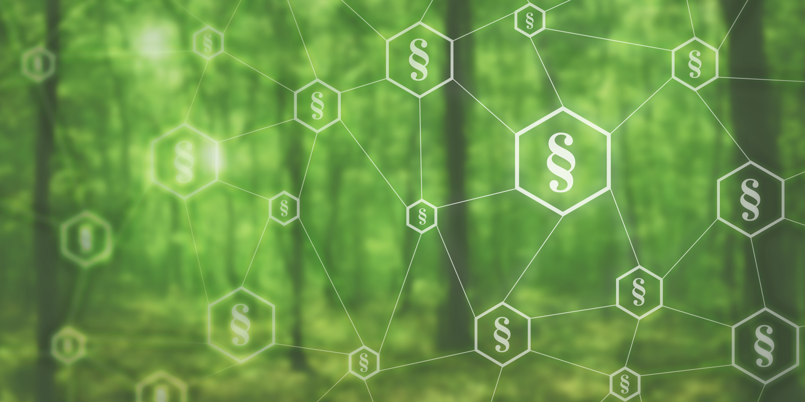 Eisenbahnregelwerke WKO