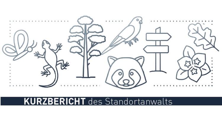 Grafiken von Tieren und Blumen; Schmetterling; Salamander; Baum; Vogel; Bär; Blätter und Wegweiser