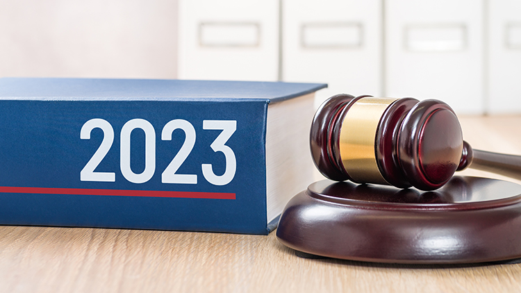 Dicker blauer Buchr&uuml;cken mit Schriftzug 2023, daneben Urteilshammer aus Holz