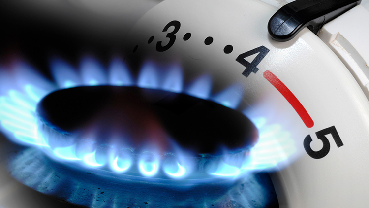 Detailansicht Gasflamme und Heizungsregler