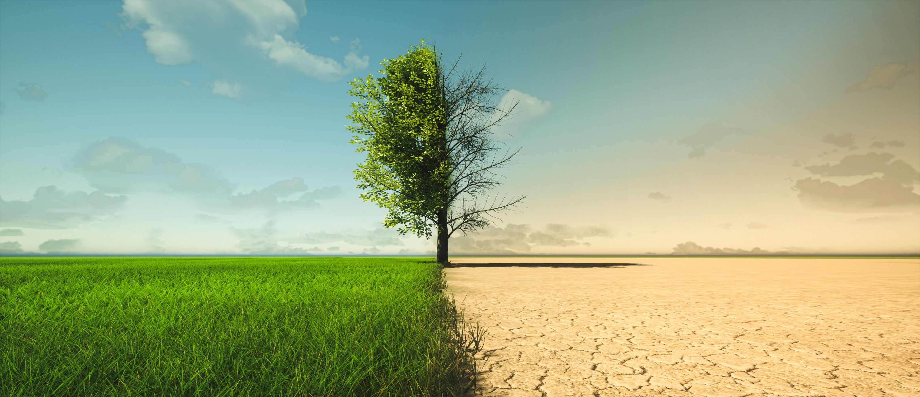 Zweigeteilte Ansicht eines Baumes in Landschaft: Linke Seite gr&uuml;ne Wiese und begr&uuml;nter Baum, rechte Seite ausgetrockneter Boden und entlaubter Baum