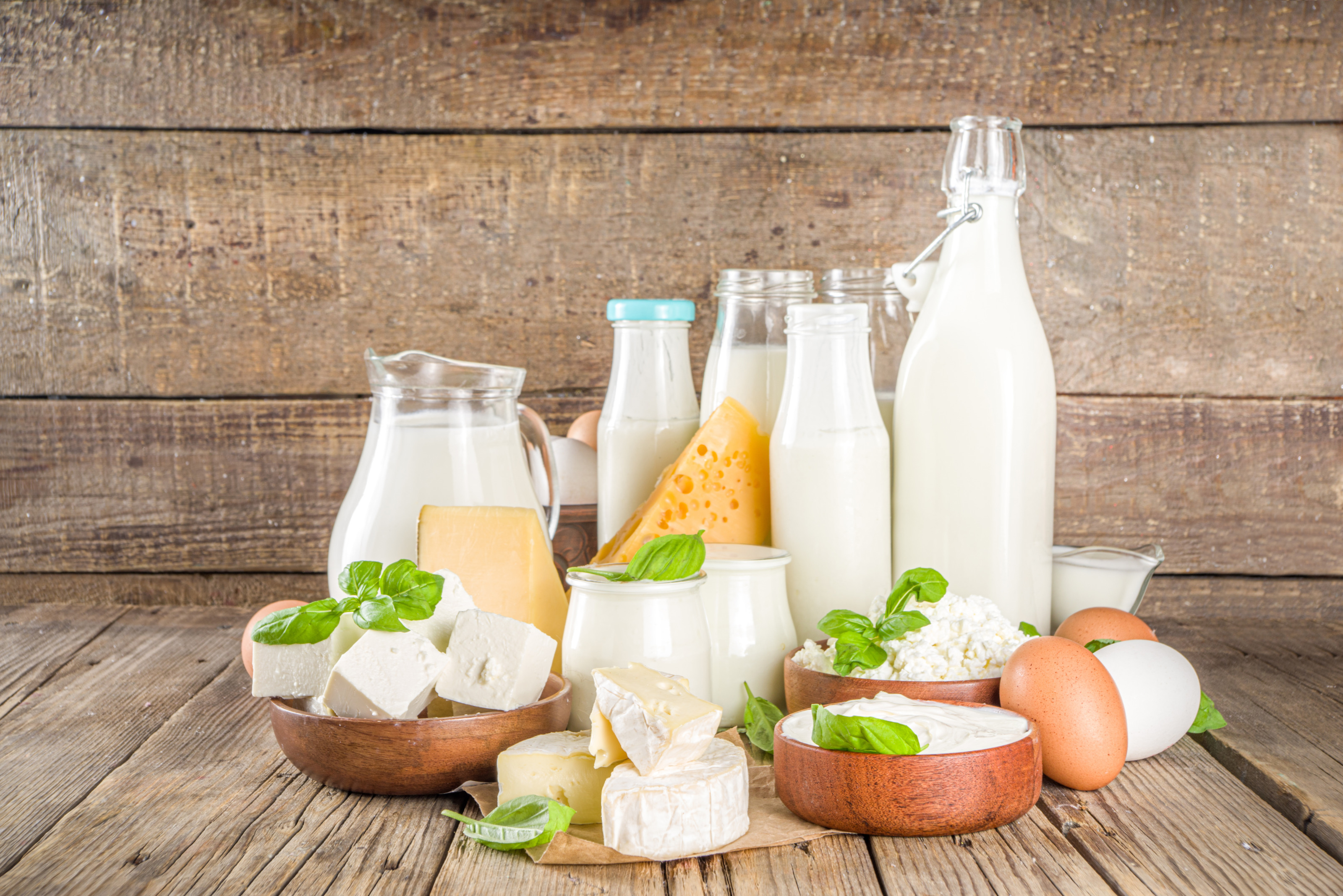 Verschiedene Milchprodukte und Eier nebeneinander platziert auf h&ouml;lzernem Untergrund