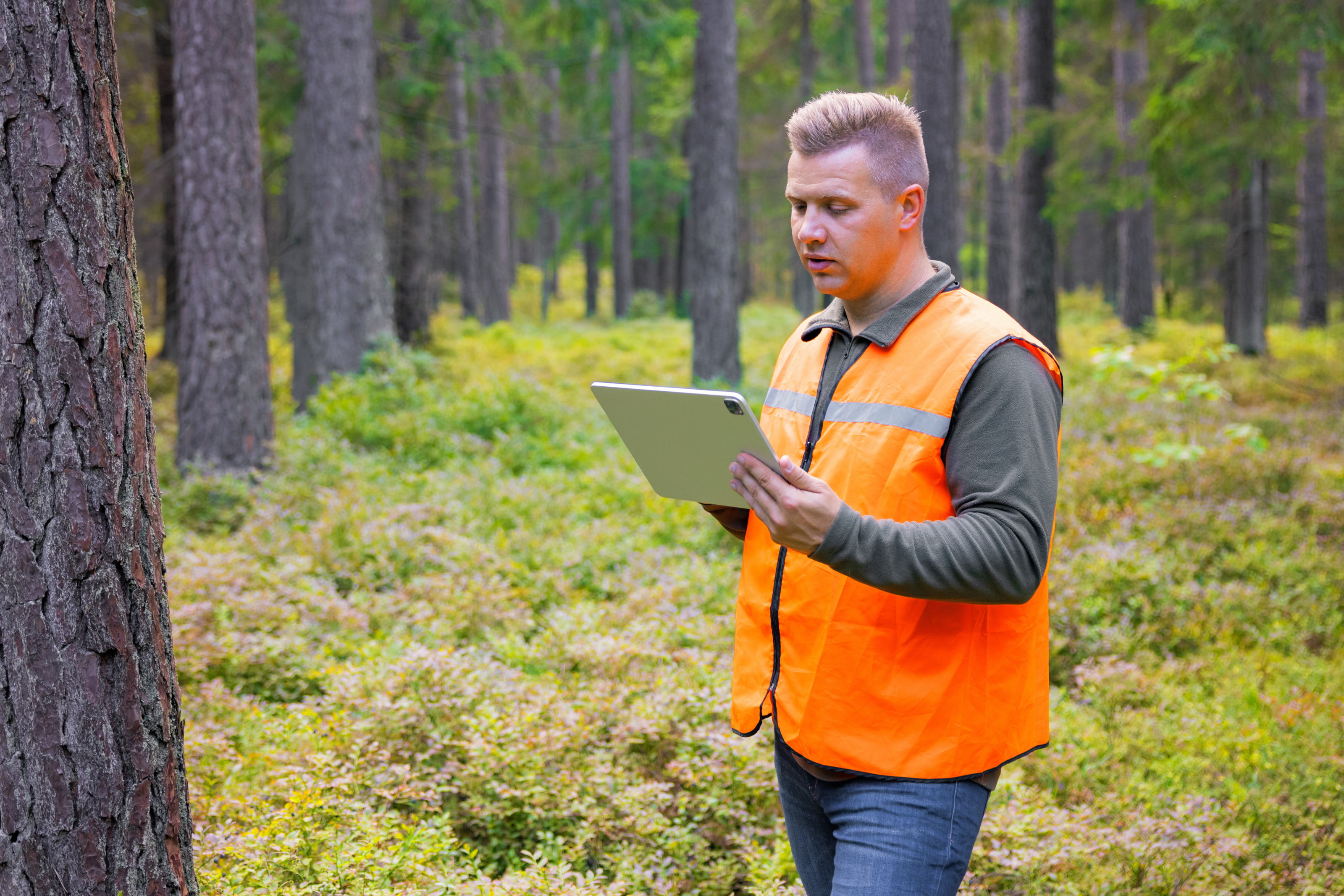 Eine Person mit kurzen, hellen Haaren, oranger Warnweste, langer Weste und Jeans steht in einem Wald neben einem Baumstamm und blickt auf ein Tablet. Im Hintergrund sind weitere Baumst&auml;mme