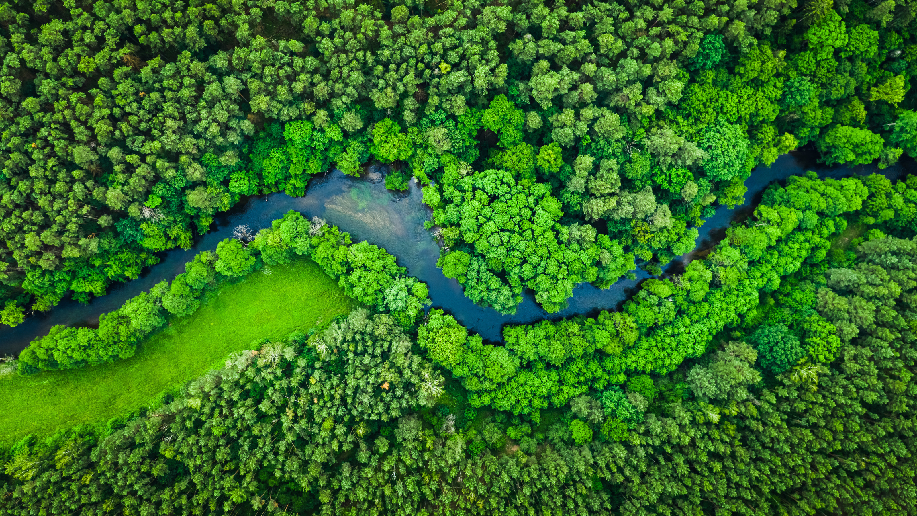 Vogelperspektive eine Laubwaldes durchbrochen von einem Fluss